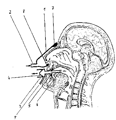 Une figure unique qui représente un dessin illustrant l'invention.